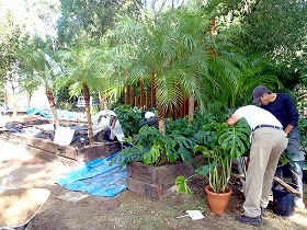 本格的な植栽が開始